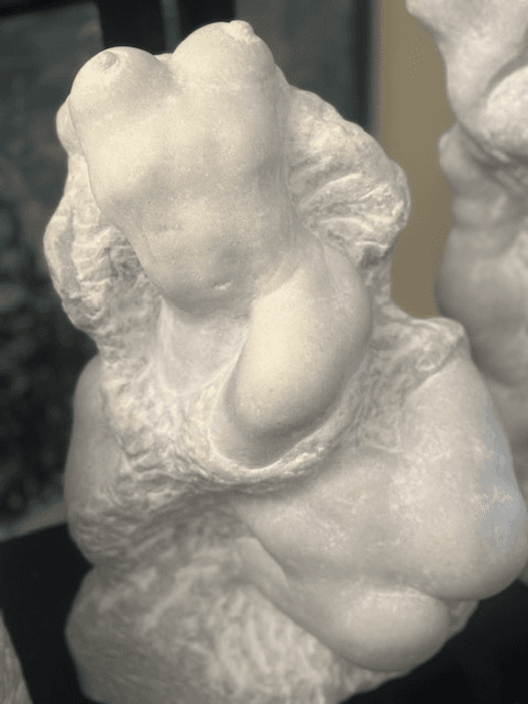 Studio Torso